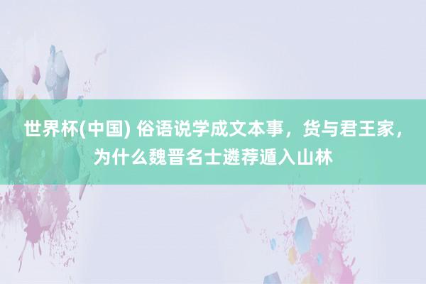世界杯(中国) 俗语说学成文本事，货与君王家，为什么魏晋名士遴荐遁入山林
