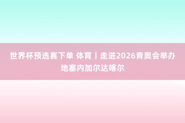世界杯预选赛下单 体育丨走进2026青奥会举办地塞内加尔达喀尔