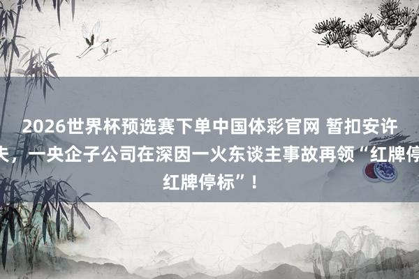 2026世界杯预选赛下单中国体彩官网 暂扣安许证工夫,一央企子公司在深因一火东谈主事故再领“红牌停标”!