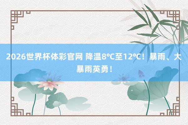 2026世界杯体彩官网 降温8℃至12℃!暴雨、大暴雨英勇!