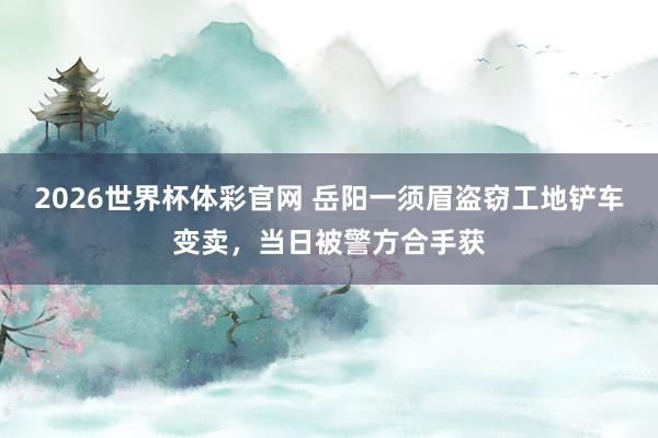 2026世界杯体彩官网 岳阳一须眉盗窃工地铲车变卖，<a href=