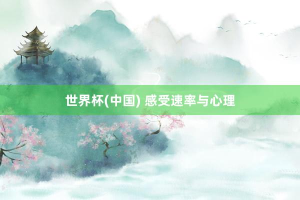 世界杯(中国) 感受速率与心理