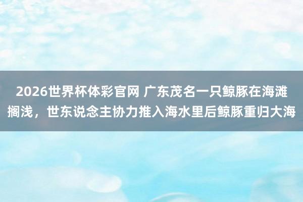 2026世界杯体彩官网 广东茂名一只鲸豚在海滩搁浅,世东说念主协力推入海水里后鲸豚重归大海