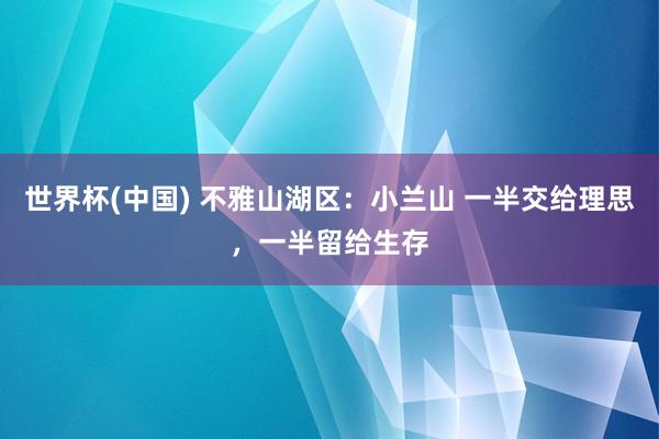 世界杯(中国) 不雅山湖区:小兰山 一半交给理思,一半留给生存