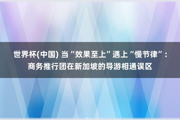 世界杯(中国) 当“效果至上”遇上“慢节律”:商务推行团在新加坡的导游相通误区