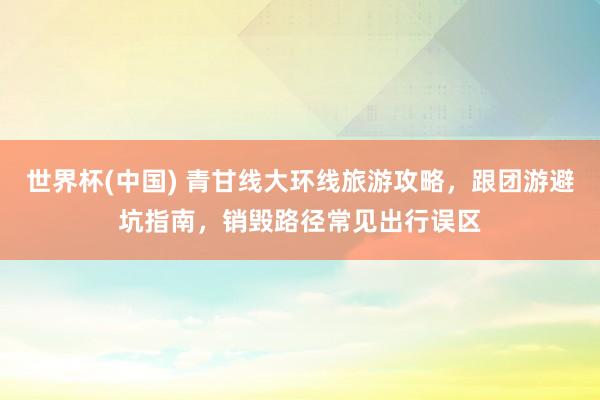 世界杯(中国) 青甘线大环线旅游攻略,跟团游避坑指南,销毁路径常见出行误区