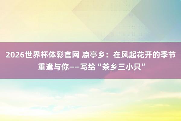 2026世界杯体彩官网 凉亭乡：在风起花开的季节 重逢与你——写给“茶乡三小只”