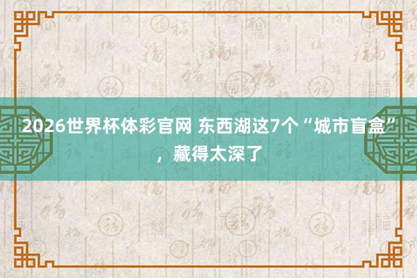 2026世界杯体彩官网 东西湖这7个“城市盲盒”,藏得太深了