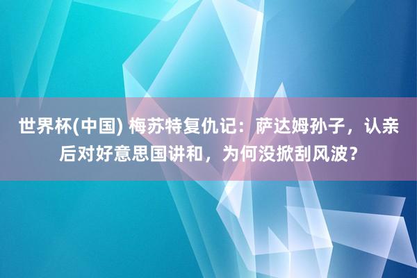 世界杯(中国) 梅苏特复仇记:萨达姆孙子,认亲后对好意思国讲和,为何没掀刮风波?
