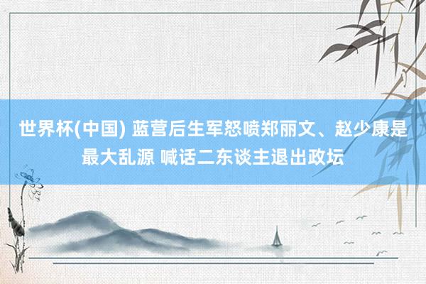 世界杯(中国) 蓝营后生军怒喷郑丽文、赵少康是最大乱源 喊话二东谈主退出政坛