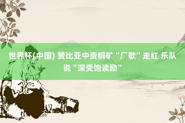 世界杯(中国) 赞比亚中资铜矿“厂歌”走红 乐队说“深受饱读励”