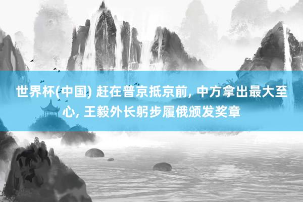 世界杯(中国) 赶在普京抵京前, 中方拿出最大至心, 王毅外长躬步履俄颁发奖章