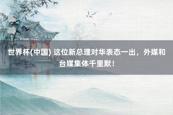 世界杯(中国) 这位新总理对华表态一出,外媒和台媒集体千里默!