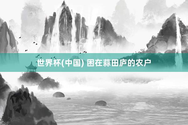 世界杯(中国) 困在蒜田庐的农户