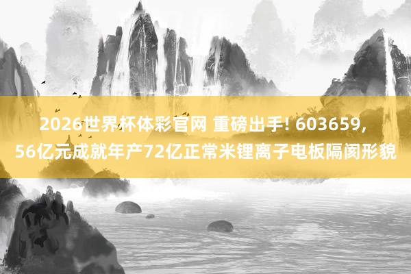 2026世界杯体彩官网 重磅出手! 603659, 56亿元成就年产72亿正常米锂离子电板隔阂形貌