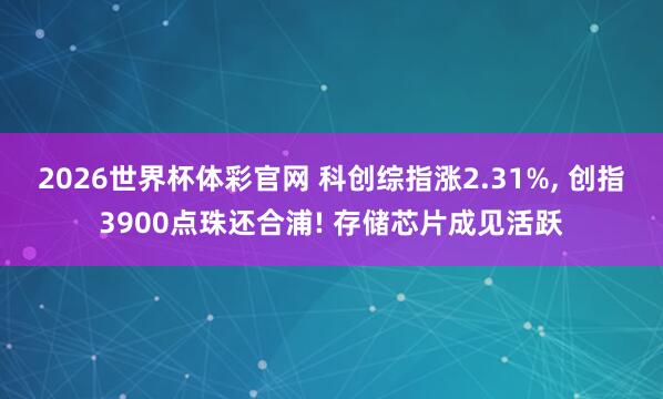 2026世界杯体彩官网 科创综指涨2.31%, 创指3900点珠还合浦! 存储芯片成见活跃