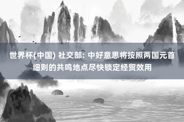 世界杯(中国) 社交部: 中好意思将按照两国元首细则的共鸣地点尽快锁定经贸效用