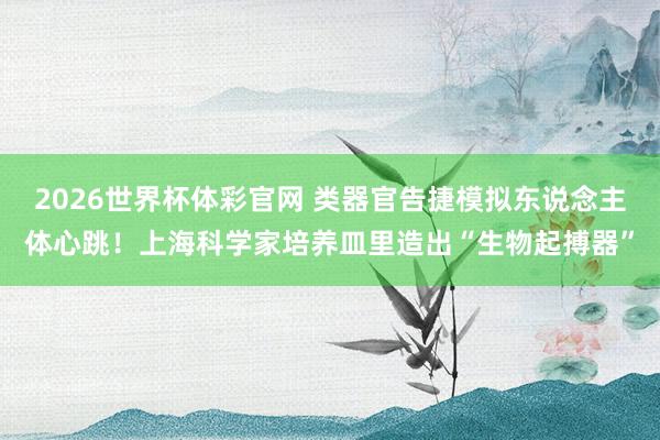 2026世界杯体彩官网 类器官告捷模拟东说念主体心跳!上海科学家培养皿里造出“生物起搏器”