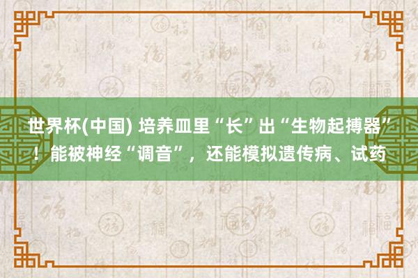 世界杯(中国) 培养皿里“长”出“生物起搏器”！能被神经“调音”，还能模拟遗传病、试药