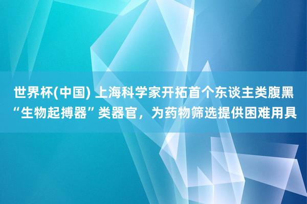 世界杯(中国) 上海科学家开拓首个东谈主类腹黑“生物起搏器”类器官,为药物筛选提供困难用具