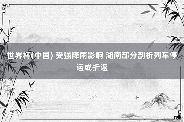 世界杯(中国) 受强降雨影响 湖南部分剖析列车停运或折返