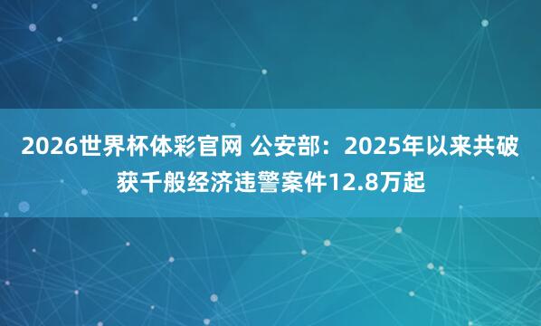 2026世界杯体彩官网 公安部：2025年以来共破获千般经济违警案件12.8万起