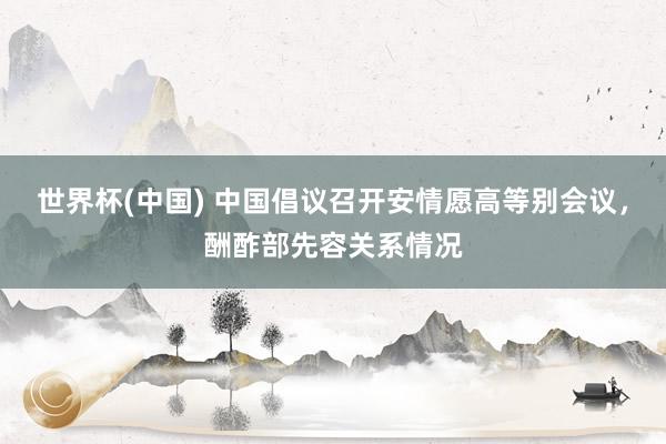 世界杯(中国) 中国倡议召开安情愿高等别会议,酬酢部先容关系情况