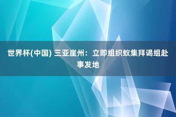 世界杯(中国) 三亚崖州:立即组织蚁集拜谒组赴事发地