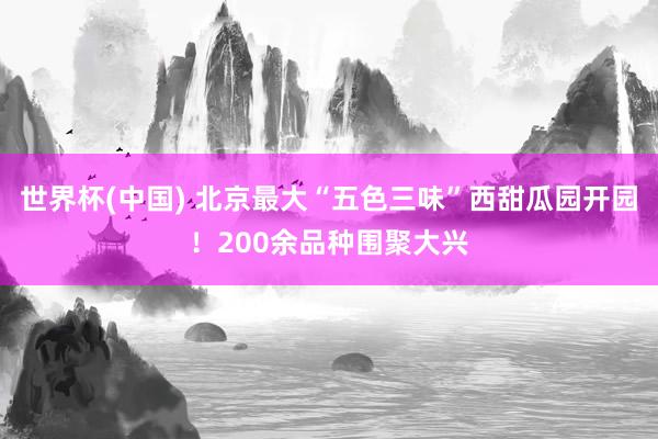 世界杯(中国) 北京最大“五色三味”西甜瓜园开园！200余品种围聚大兴