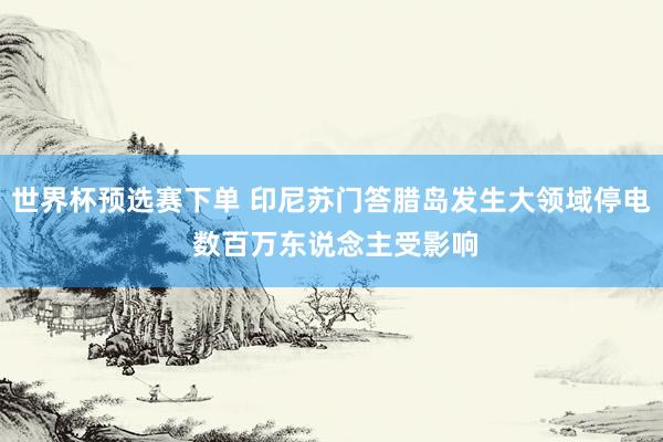 世界杯预选赛下单 印尼苏门答腊岛发生大领域停电 数百万东说念主受影响