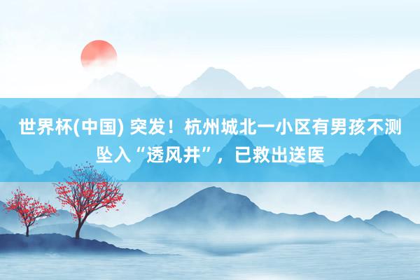 世界杯(中国) 突发!杭州城北一小区有男孩不测坠入“透风井”,已救出送医