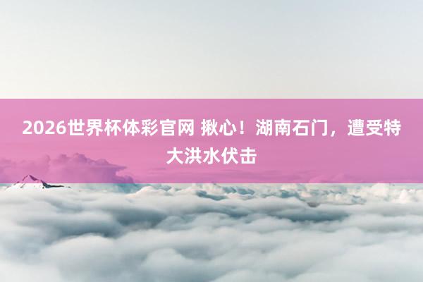 2026世界杯体彩官网 揪心!湖南石门,遭受特大洪水伏击