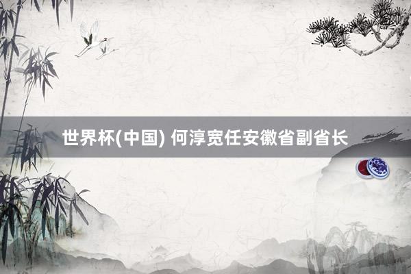 世界杯(中国) 何淳宽任安徽省副省长