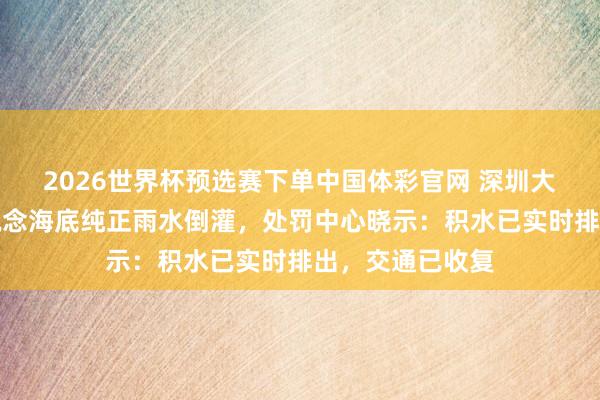 2026世界杯预选赛下单中国体彩官网 深圳大雨导致深中通说念海底纯正雨水倒灌,处罚中心晓示:积水已实时排出,交通已收复