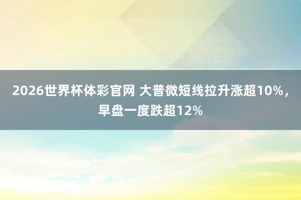 2026世界杯体彩官网 大普微短线拉升涨超10%，早盘一度跌超12%