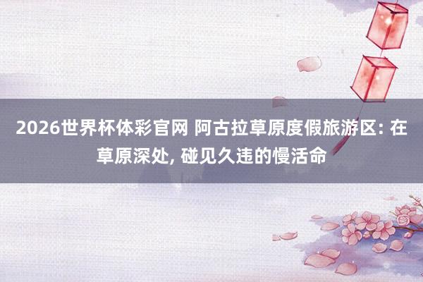 2026世界杯体彩官网 阿古拉草原度假旅游区: 在草原深处, 碰见久违的慢活命