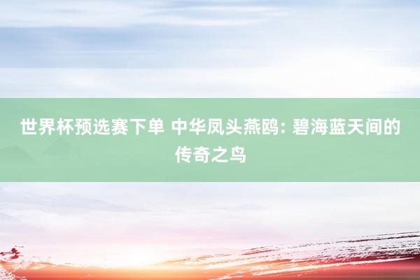 世界杯预选赛下单 中华凤头燕鸥: 碧海蓝天间的传奇之鸟