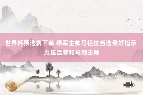 世界杯预选赛下单 绿军主帅马祖拉当选最好指示 力压活塞和马刺主帅