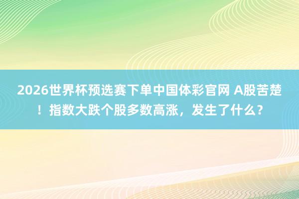 2026世界杯预选赛下单中国体彩官网 A股苦楚!指数大跌个股多数高涨,发生了什么?