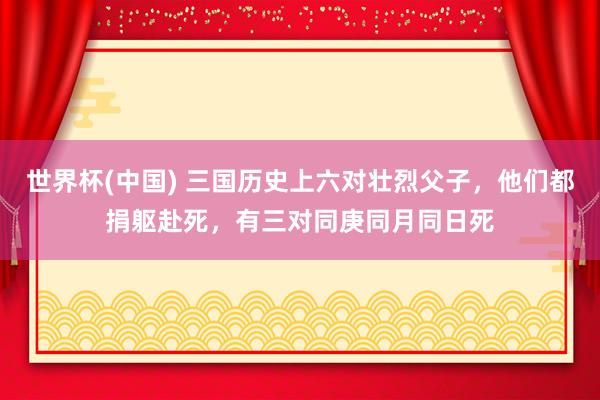 世界杯(中国) 三国历史上六对壮烈父子,他们都捐躯赴死,有三对同庚同月同日死