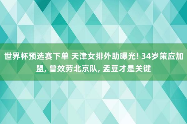 世界杯预选赛下单 天津女排外助曝光! 34岁策应加盟, 曾效劳北京队, 孟豆才是关键