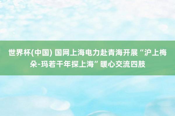 世界杯(中国) 国网上海电力赴青海开展“沪上梅朵-玛若干年探上海”暖心交流四肢