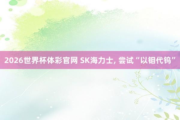 2026世界杯体彩官网 SK海力士, 尝试“以钼代钨”