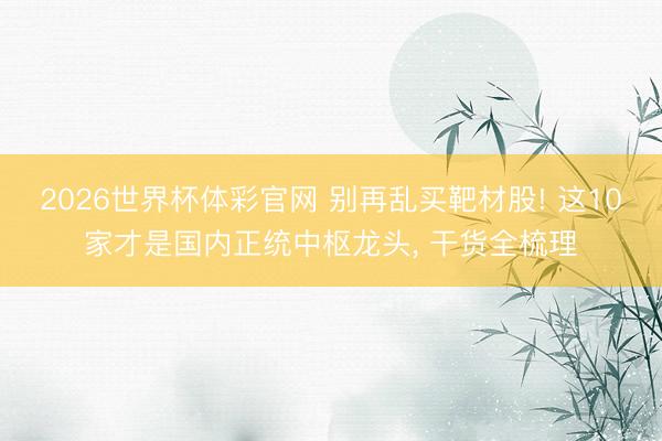 2026世界杯体彩官网 别再乱买靶材股! 这10家才是国内正统中枢龙头, 干货全梳理