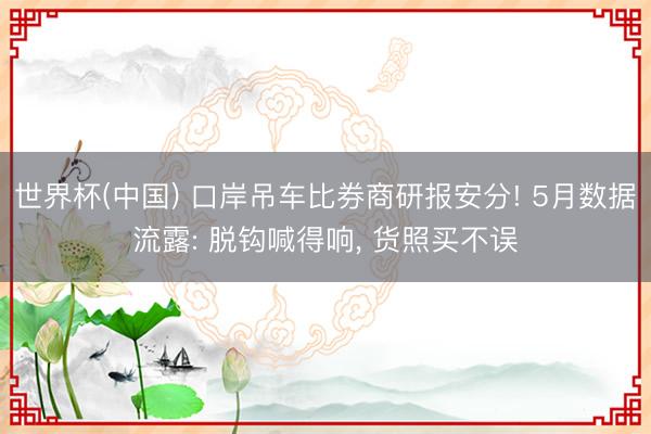 世界杯(中国) 口岸吊车比券商研报安分! 5月数据流露: 脱钩喊得响， 货照买不误