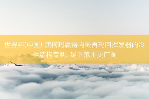 世界杯(中国) 澳柯玛赢得内嵌再轮回挥发器的冷柜结构专利, 足下范围更广阔