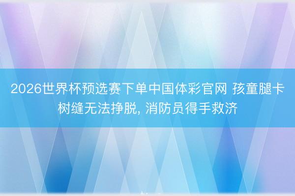 2026世界杯预选赛下单中国体彩官网 孩童腿卡树缝无法挣脱, 消防员得手救济