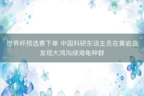 世界杯预选赛下单 中国科研东谈主员在黄岩岛发现大鸿沟绿海龟种群